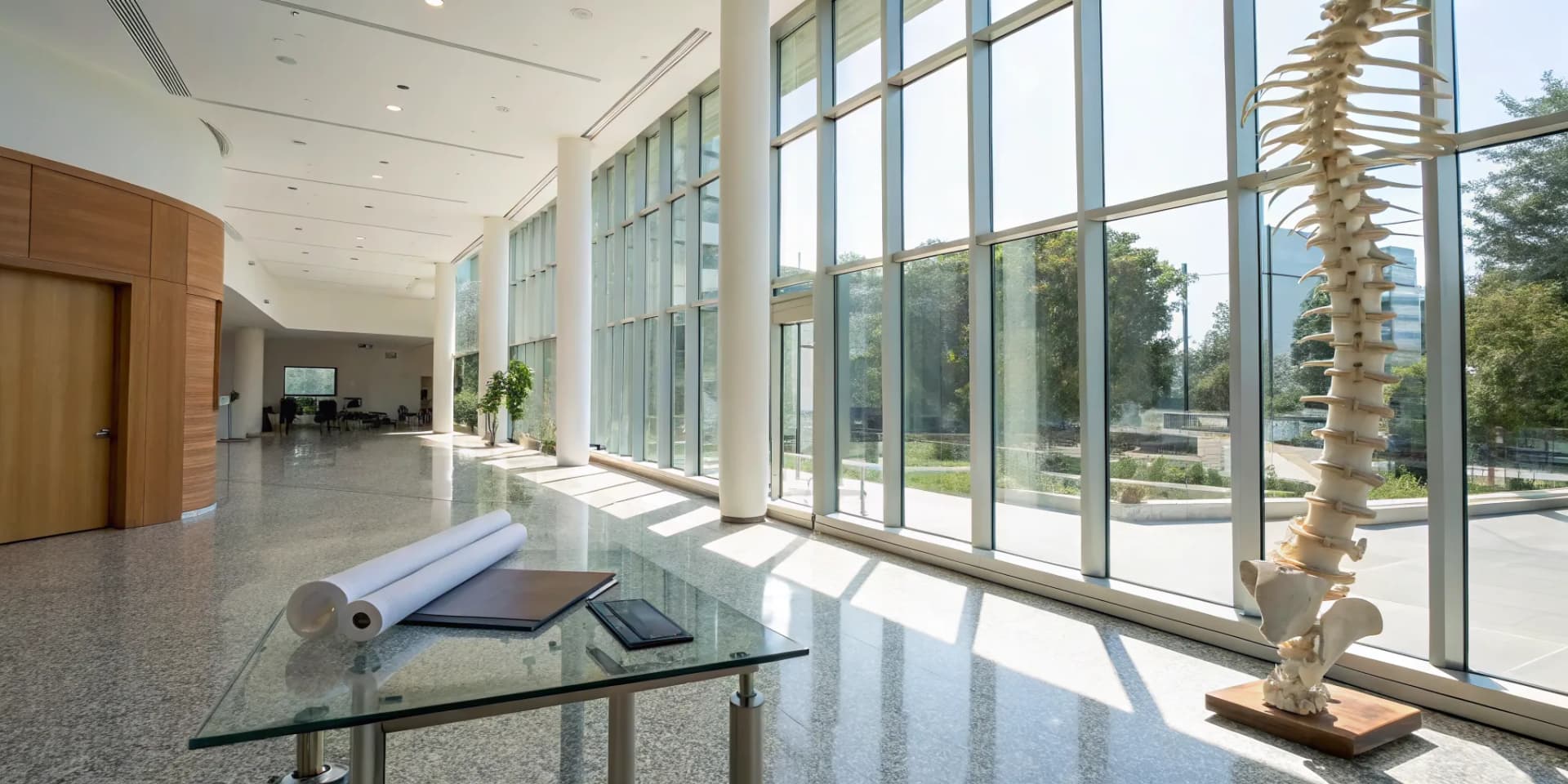The modern lobby of a newly built spinal disc specialty clinic with a spine model.